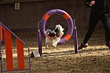 E.O.selectie wedstrijd zondag