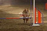 E.O.selectie wedstrijd zondag