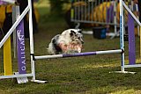 Finale canis