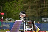 Finale canis