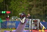 Finale canis