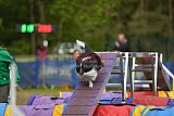 Finale canis