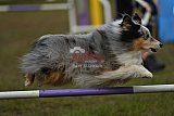 Finale canis