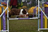 Finale canis