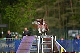 Finale canis