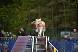 Finale canis