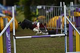 Finale canis