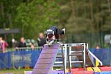 Finale canis