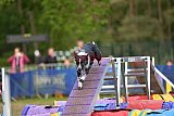 Finale canis