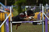 Finale canis