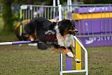Finale canis