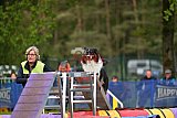 Finale canis