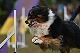 Finale canis