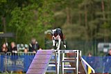 Finale canis