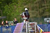 Finale canis