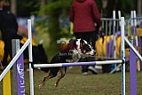 Finale canis