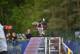 Finale canis