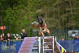 Finale canis