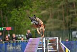 Finale canis