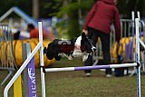 Finale canis