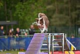Finale canis