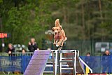 Finale canis