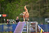 Finale canis