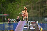 Finale canis