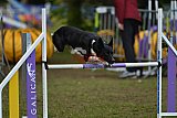 Finale canis
