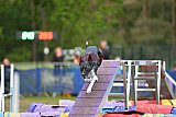 Finale canis