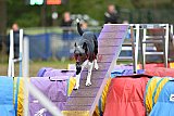 Finale canis