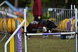 Finale canis