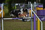 Finale canis