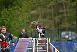 Finale canis