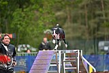 Finale canis