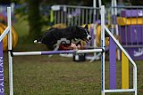 Finale canis