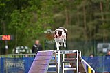 Finale canis