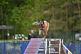 Finale canis