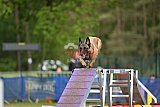Finale canis