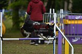 Finale canis
