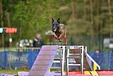 Finale canis