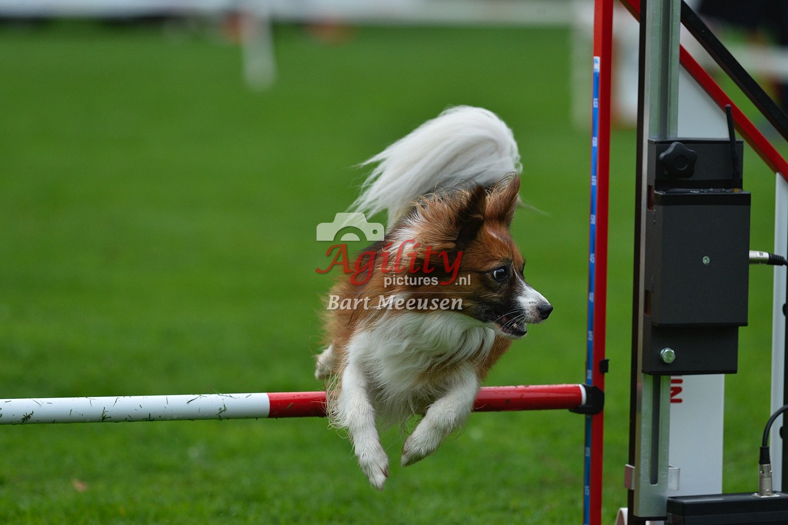 Royal Canin Masters 2025 geldrop