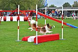 Royal Canin Masters 2025 geldrop