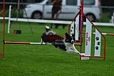 Royal Canin Masters 2025 geldrop