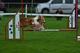 Royal Canin Masters 2025 geldrop