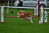 Royal Canin Masters 2025 geldrop