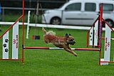 Royal Canin Masters 2025 geldrop