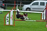 Royal Canin Masters 2025 geldrop