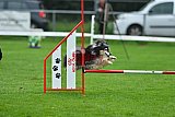 Royal Canin Masters 2025 geldrop