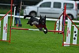 Royal Canin Masters 2025 geldrop